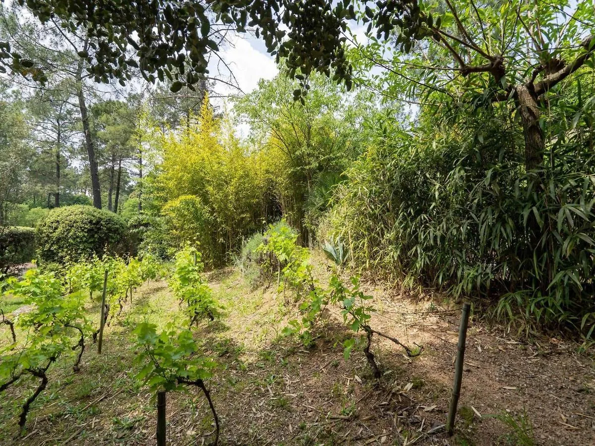 Pleasant Holiday Home With Private Pool Chambonas